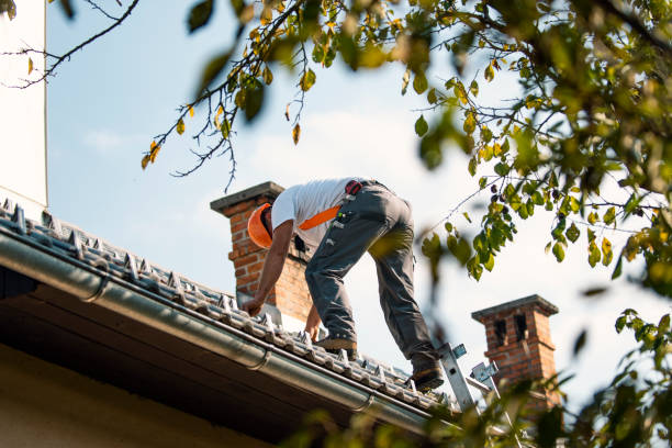 Best Roof Gutter Cleaning  in Independence, OR